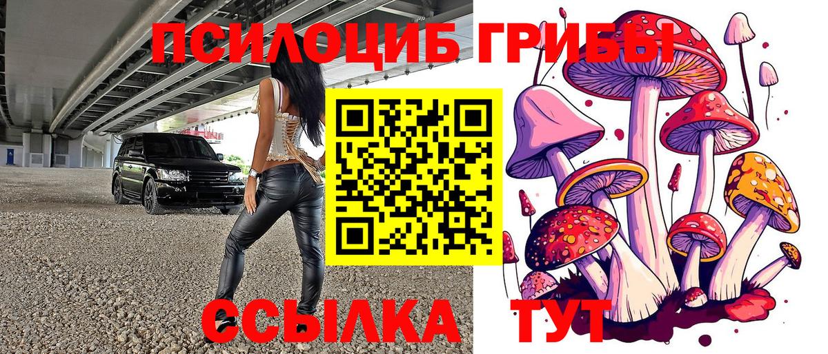 Галлюциногенные грибы Psilocybine cubensis Лесосибирск
