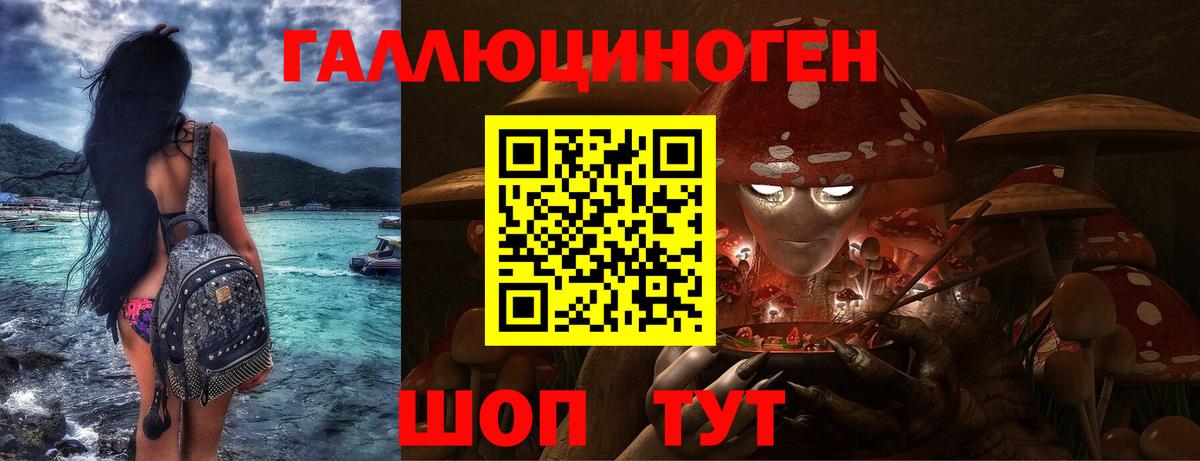 Лесосибирск  Галлюциногенные грибы прущие грибы  Вход с VPN 